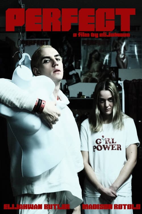 Poster for Perfect