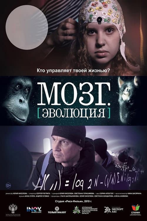 Poster for Brain. Evolution