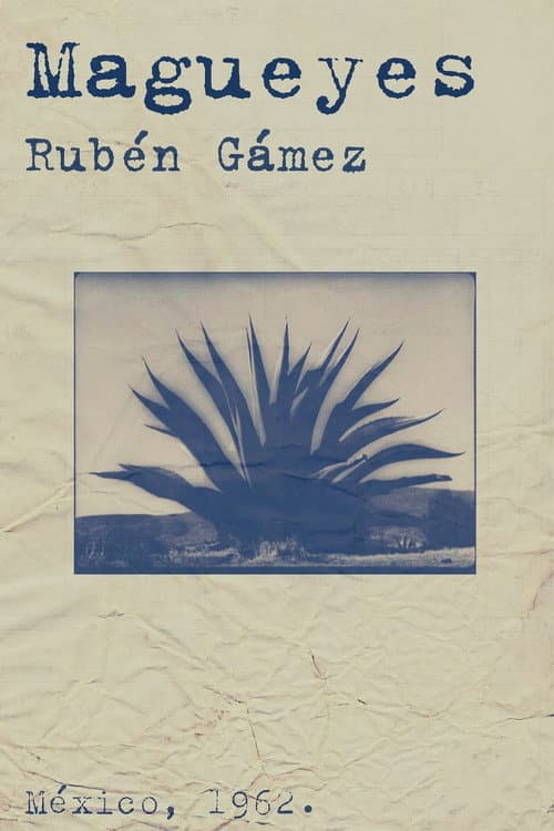 Poster for Magueyes