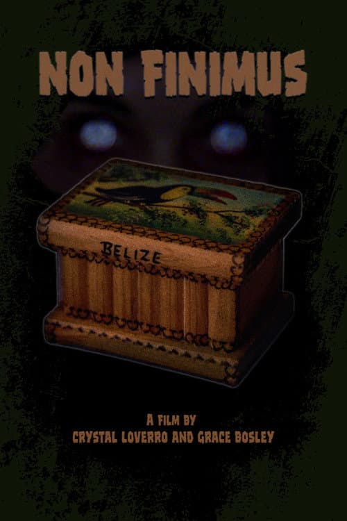 Poster for Non Finimus