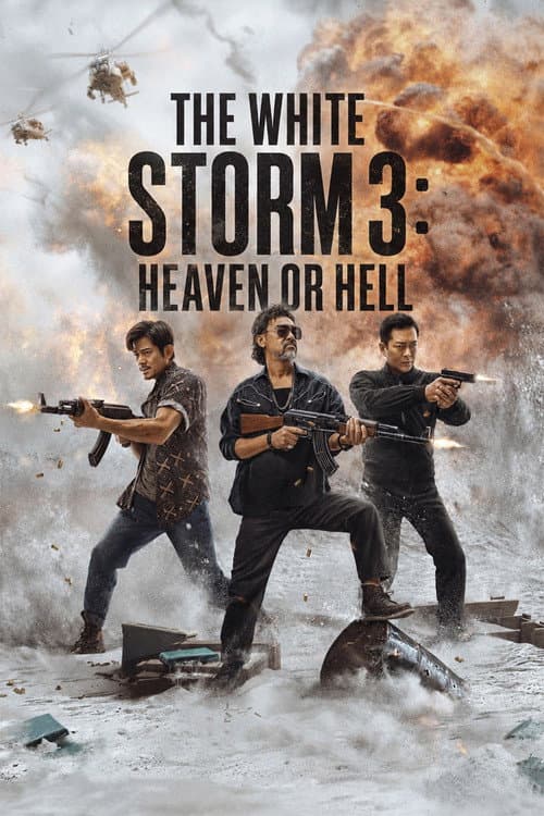 Poster for The White Storm 3: Heaven or Hell