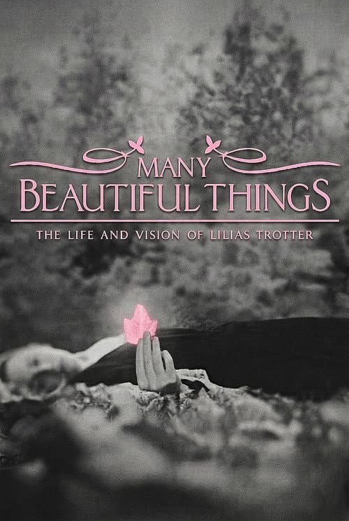 Poster for Many Beautiful Things