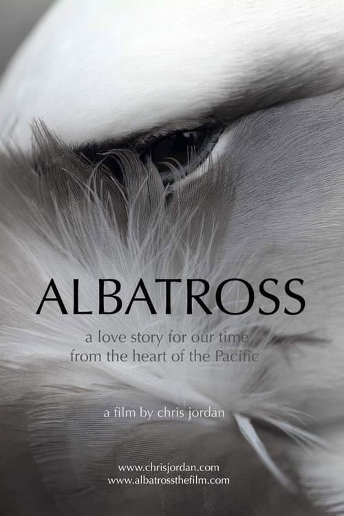 Poster for Albatross