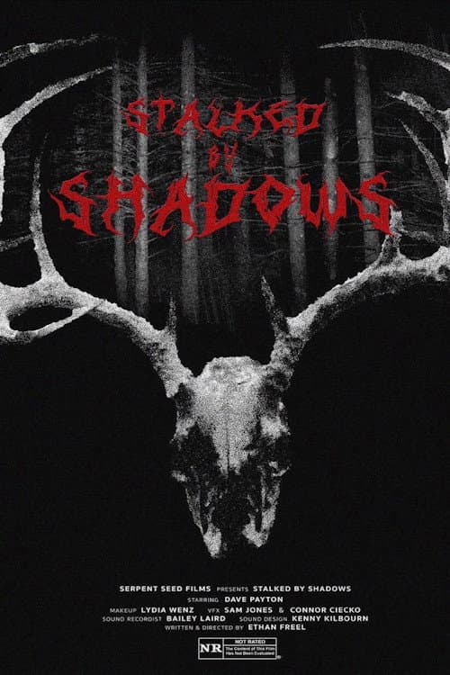 Poster for Stalked by Shadows