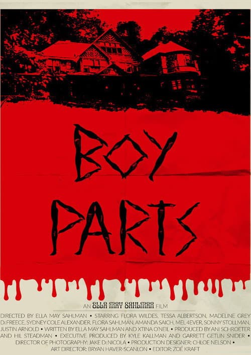 Poster for Boy Parts