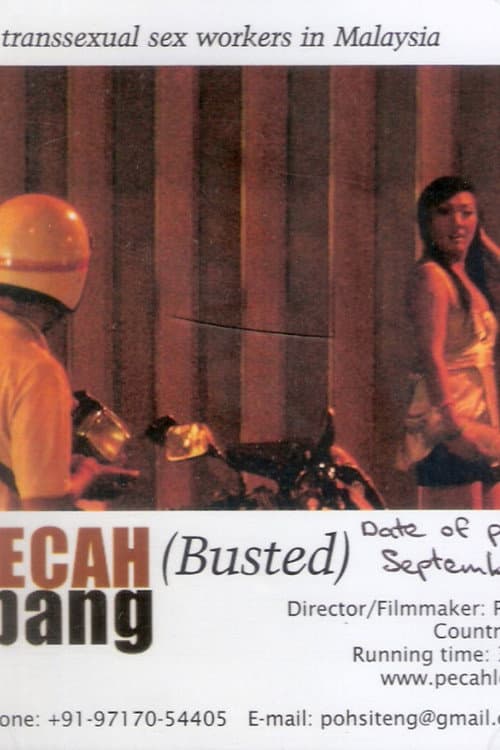 Poster for Busted