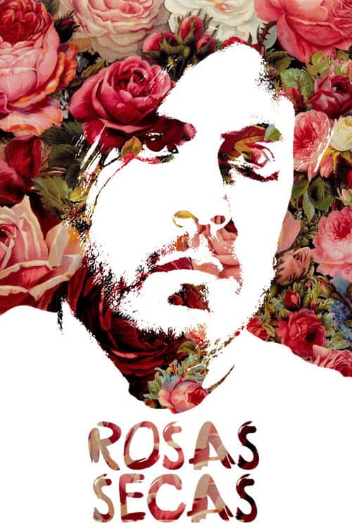 Poster for Dried Roses
