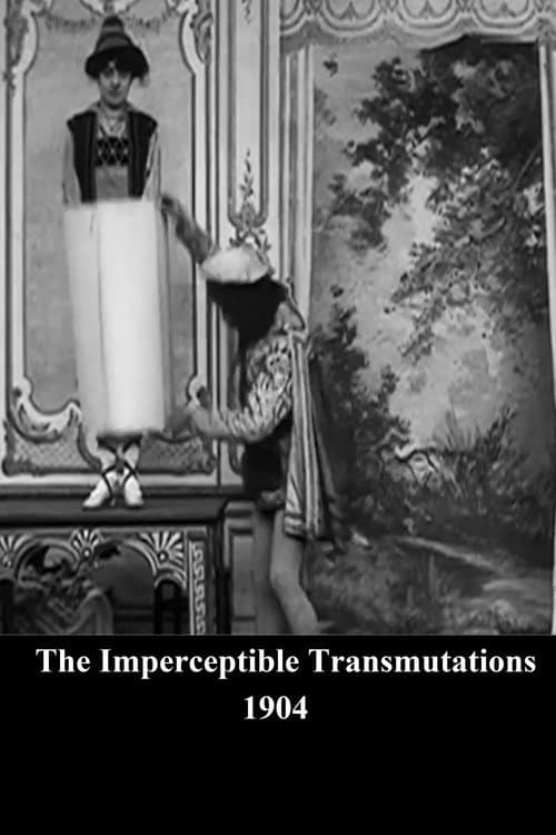 Постер до фільму «The Imperceptible Transmutations»