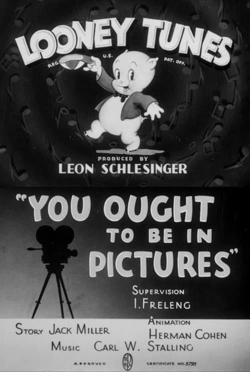 Poster for You Ought to Be in Pictures