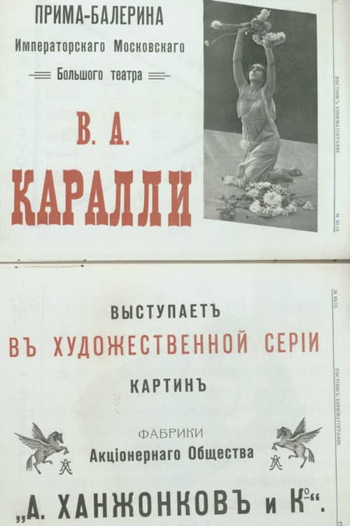 Poster for Chrysanthemums