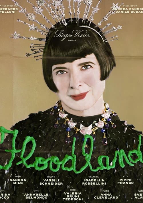 Poster for Floodland