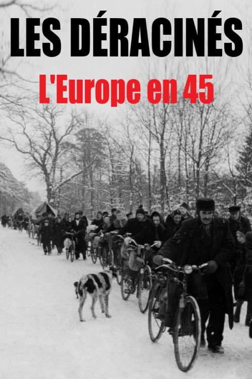Poster for Les déracinés - L'Europe en 45