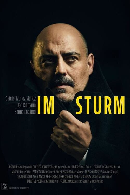Poster for Im Sturm
