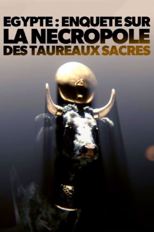 Poster for Égypte - Enquête sur la nécropole des taureaux sacrés