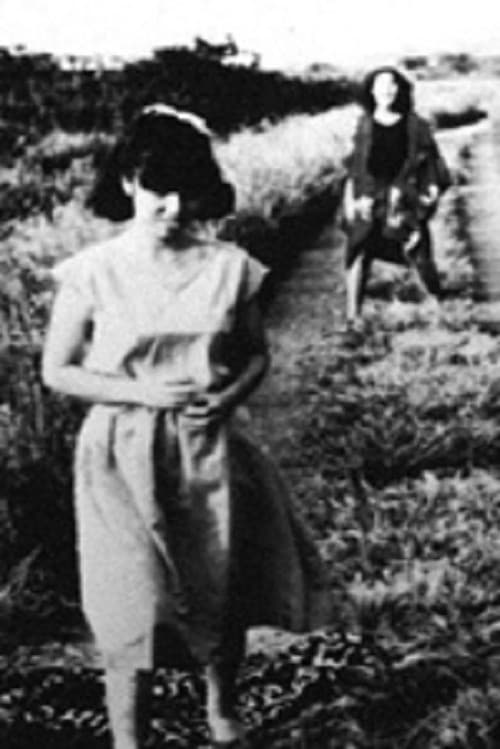 Poster for A iMITATION interioR