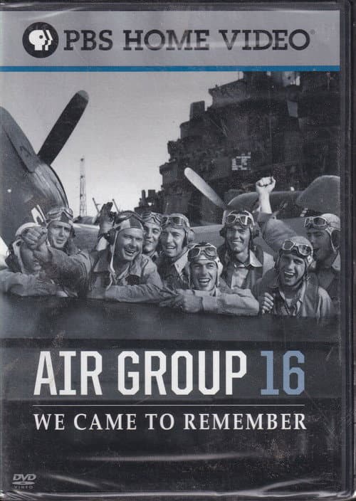 Poster for Air Group 16: We Came to Remember