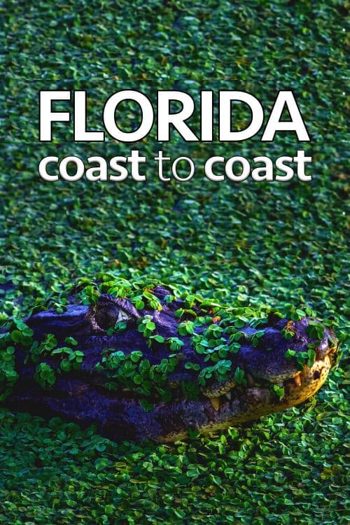 Poster for Florida Coast To Coast