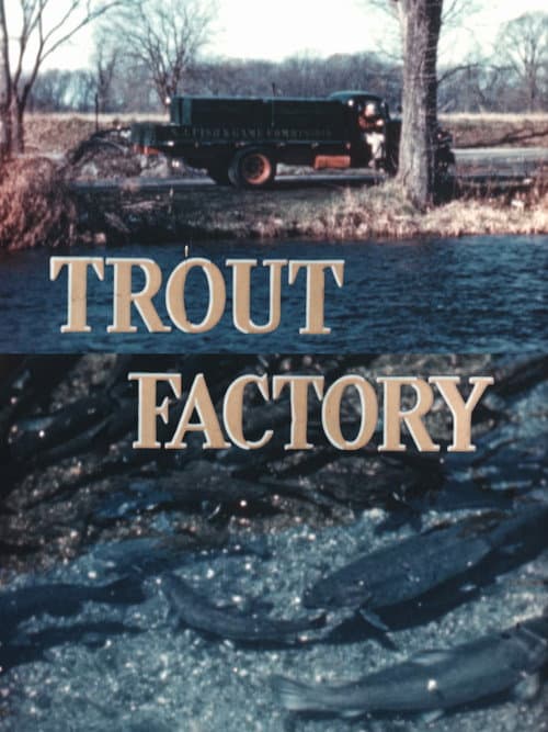 Poster for Trout Factory