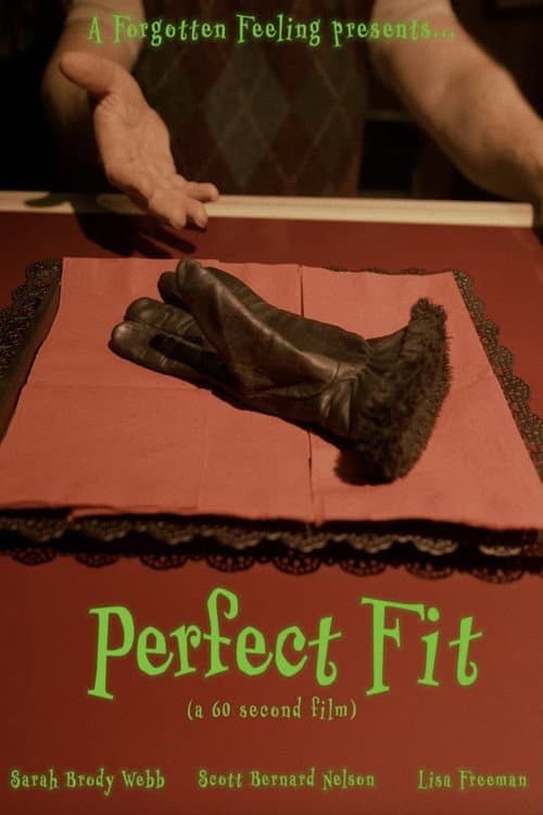 Poster for Perfect Fit