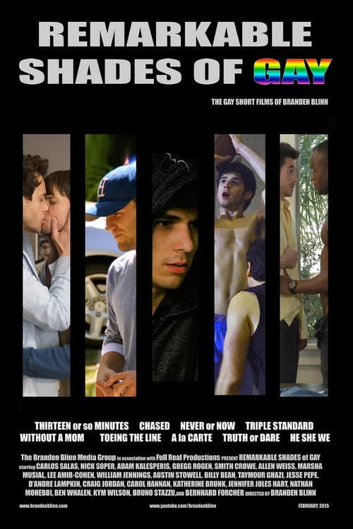 Poster for Remarkable Shades of Gay