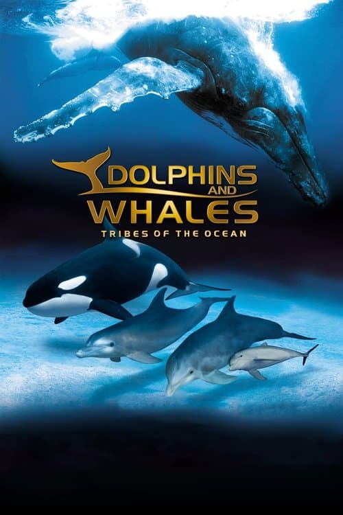 Poster for IMAX Dolphins and Whales: Tribes of the Ocean
