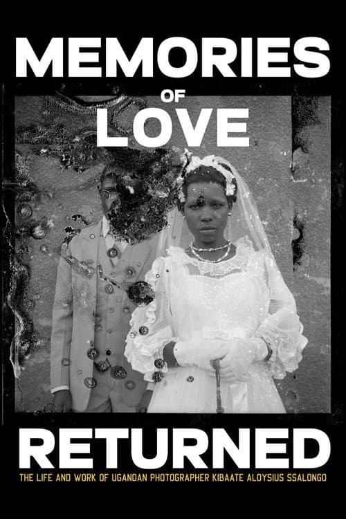 Poster for Memories of Love Returned