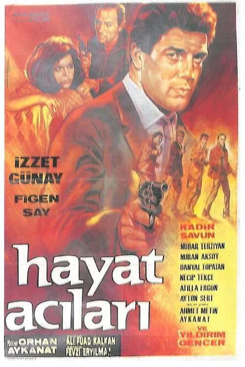 Poster for Hayat Acıları