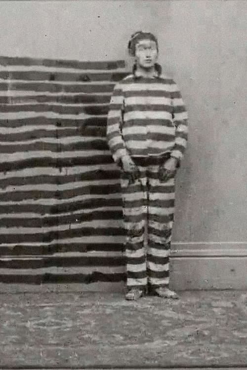 Poster for The Disintegrated Convict