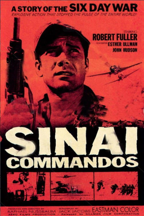 Poster for Sinai Commados