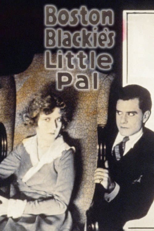 Постер до фільму «Boston Blackie's Little Pal»
