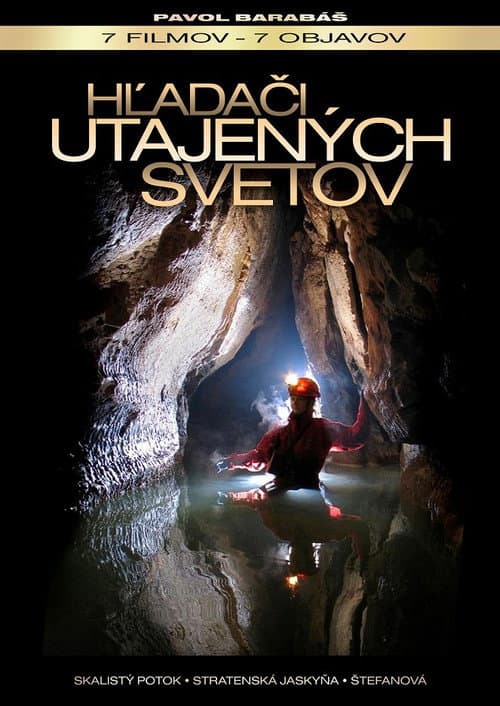 Poster for The Secret World's Seekers