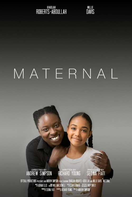 Poster for Maternal