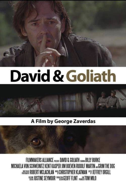 Poster for David and Goliath