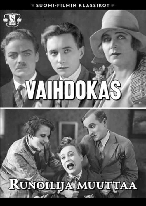 Poster for Vaihdokas
