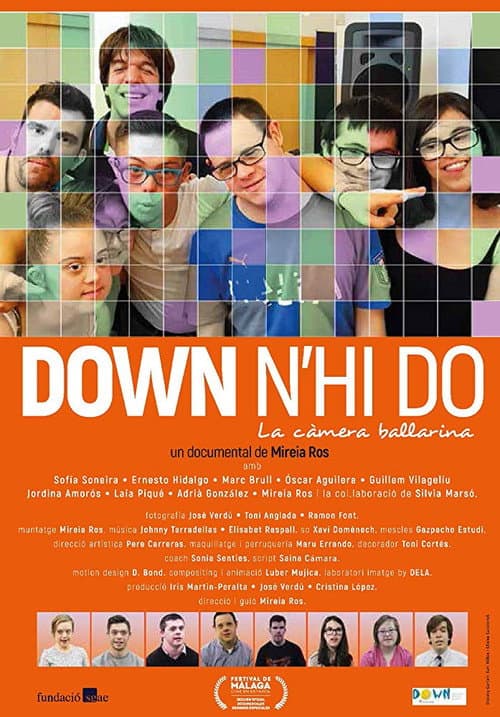 Poster for Down n'hi do - La càmera ballarina