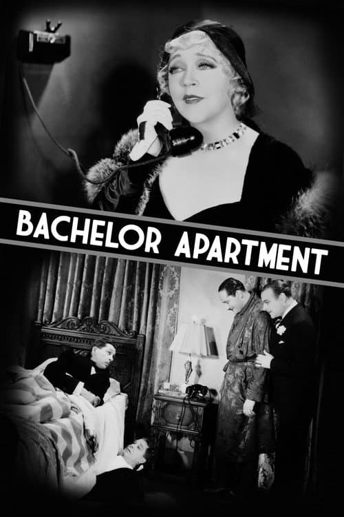 Poster for Bachelor Apartment