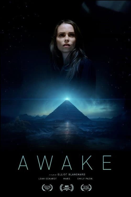 Poster for Awake