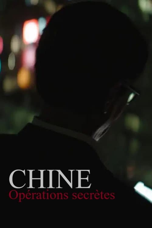 Poster for Chine : opérations secrètes