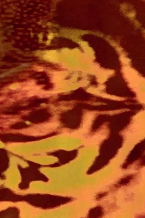 Poster for Animal macula
