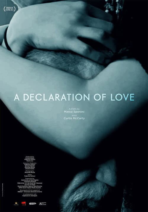 Poster for A Declaration of Love