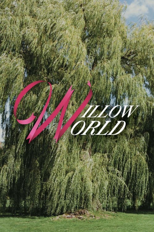 Poster for Willow World