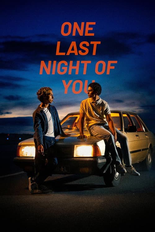 Poster for One Last Night of You