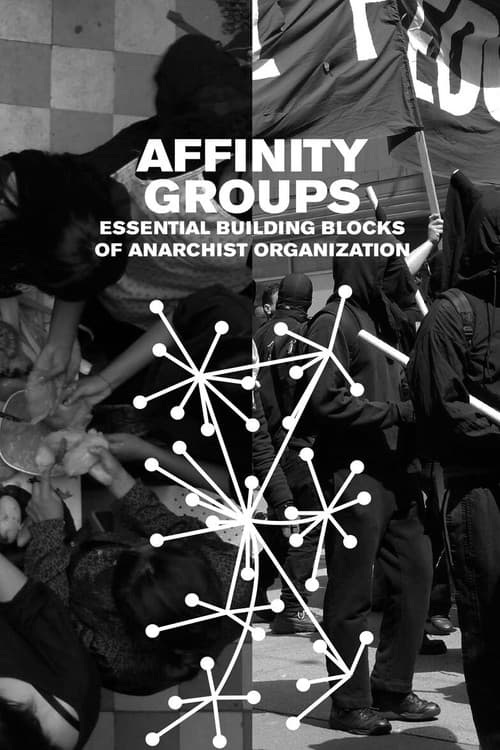 Poster for Affinity: Beyond Friendship