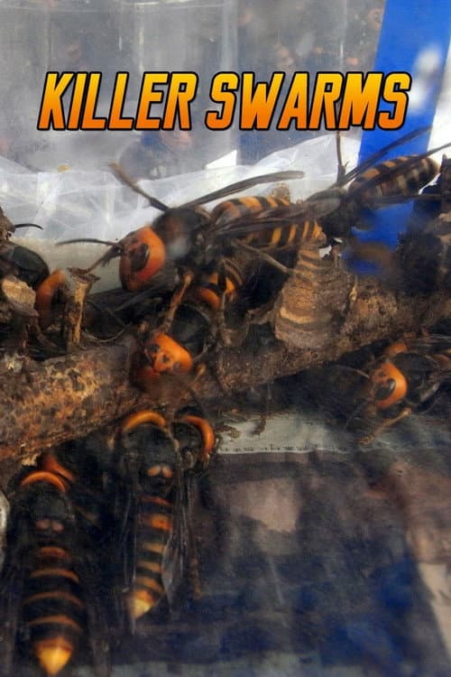 Poster for Killer Swarms