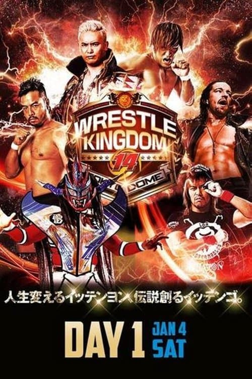 Poster for NJPW Wrestle Kingdom 14: Night 1