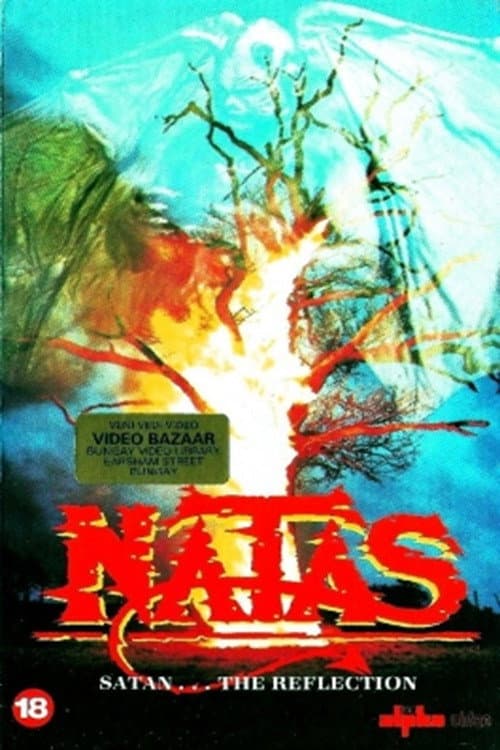 Poster for Natas: The Reflection