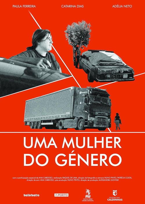Poster for Uma Mulher do Género