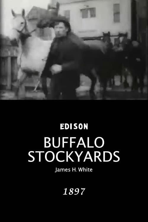 Poster for Buffalo Stockyards