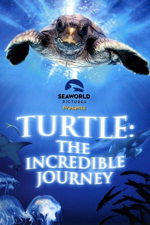 Poster for Turtle: The Incredible Journey