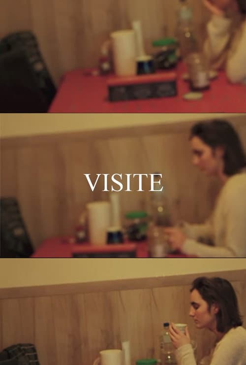 Poster for VISIT